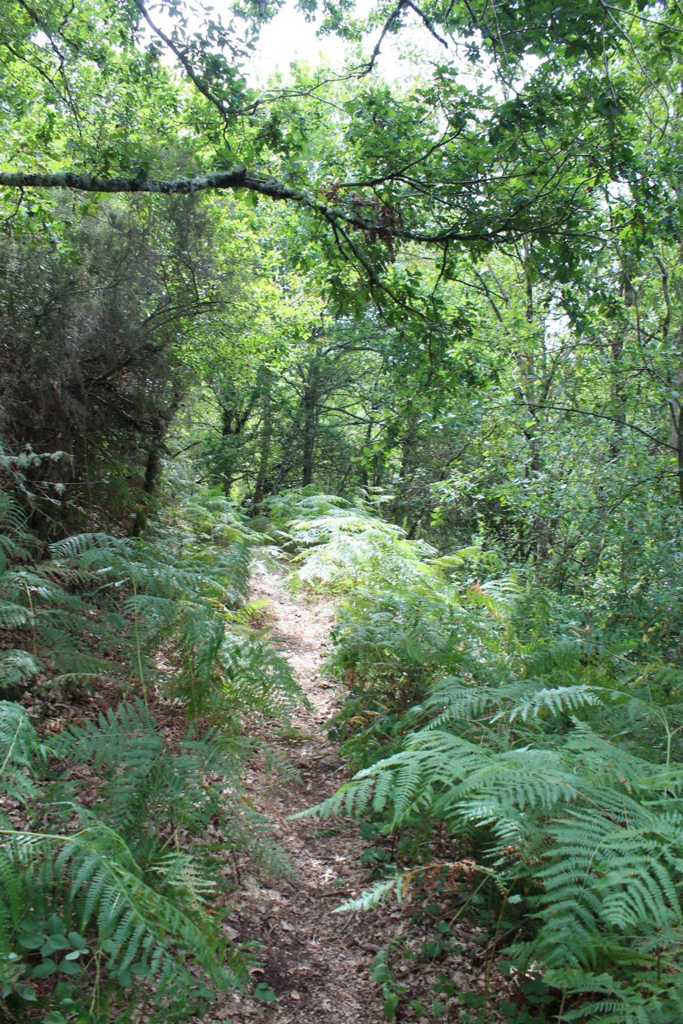 Aldea Rural Santo Andre ξενώνας Congostro Εξωτερικό φωτογραφία
